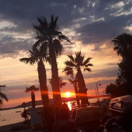 Apartman Alka Zaboric Bagian luar foto